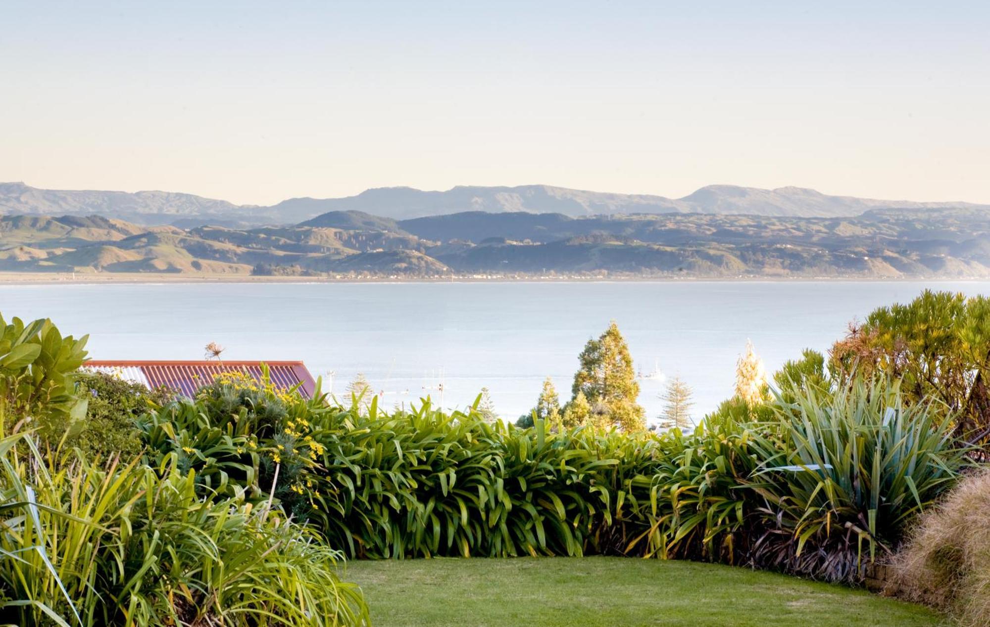 Mchardy Lodge Napier Eksteriør bilde